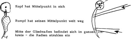 Gliedmaßensystem - Mittelpunkt